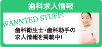���ʵ���罸